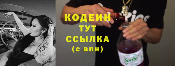 тгк Абаза