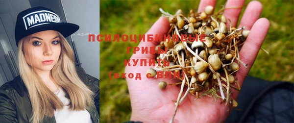 метадон Алексин