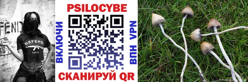 где продают наркотики MEGA зеркало Галлюциногенные грибы Psilocybine cubensis Заводоуковск