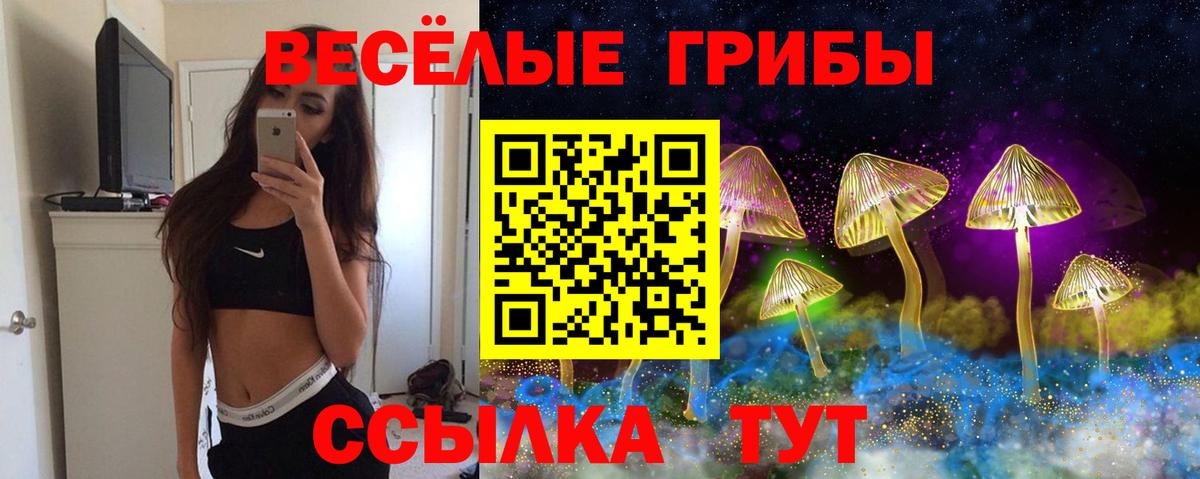 Псилоцибиновые грибы GOLDEN TEACHER  Вход с VPN  Заводоуковск 